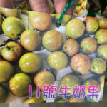 IMG_5555-150x150.jpeg