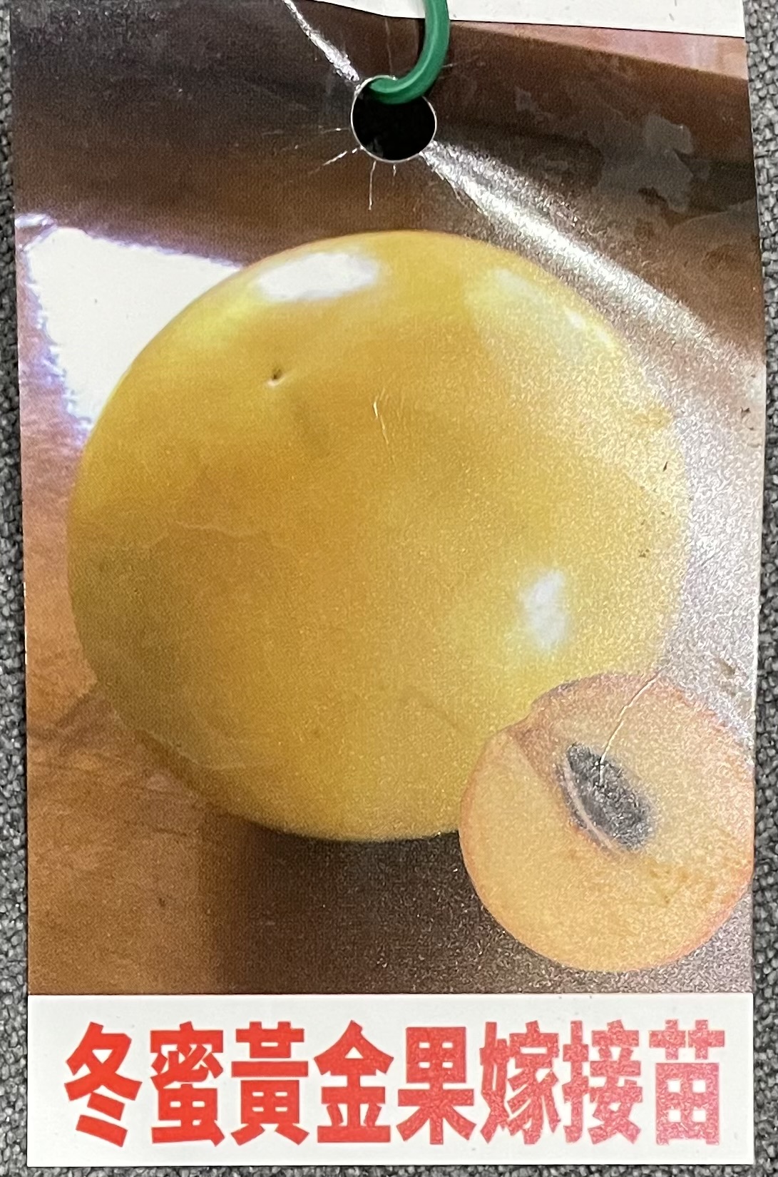 Toumitsu abiu