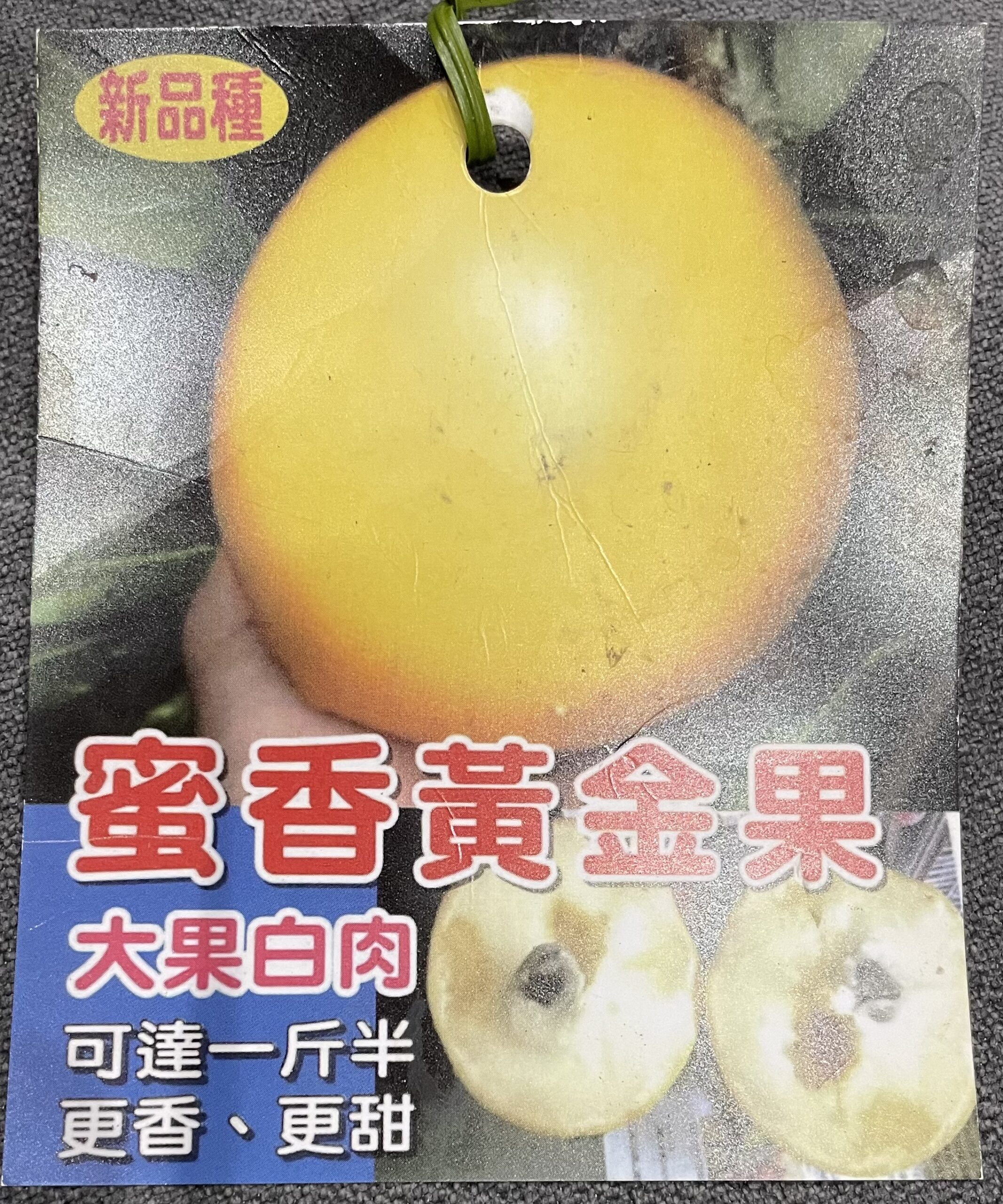 Mitsukou abiu