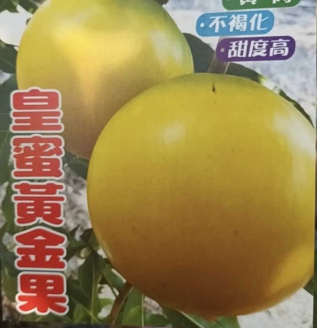 アビウ | 【上田熱帯果樹研究所】オンラインショップ